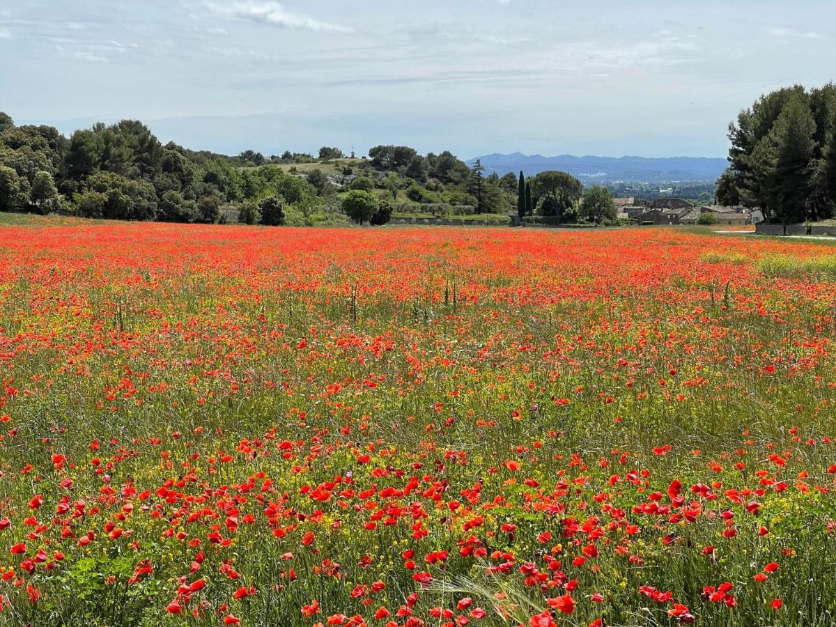 Апартаменти Fleurs De Provence Л'Іль-сюр-ла-Сорг Екстер'єр фото