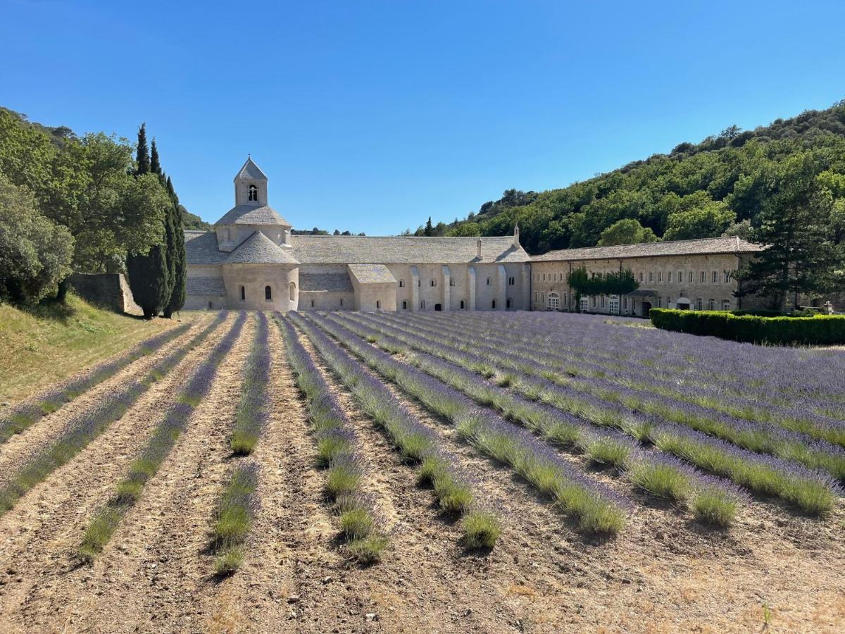 Апартаменти Fleurs De Provence Л'Іль-сюр-ла-Сорг Екстер'єр фото